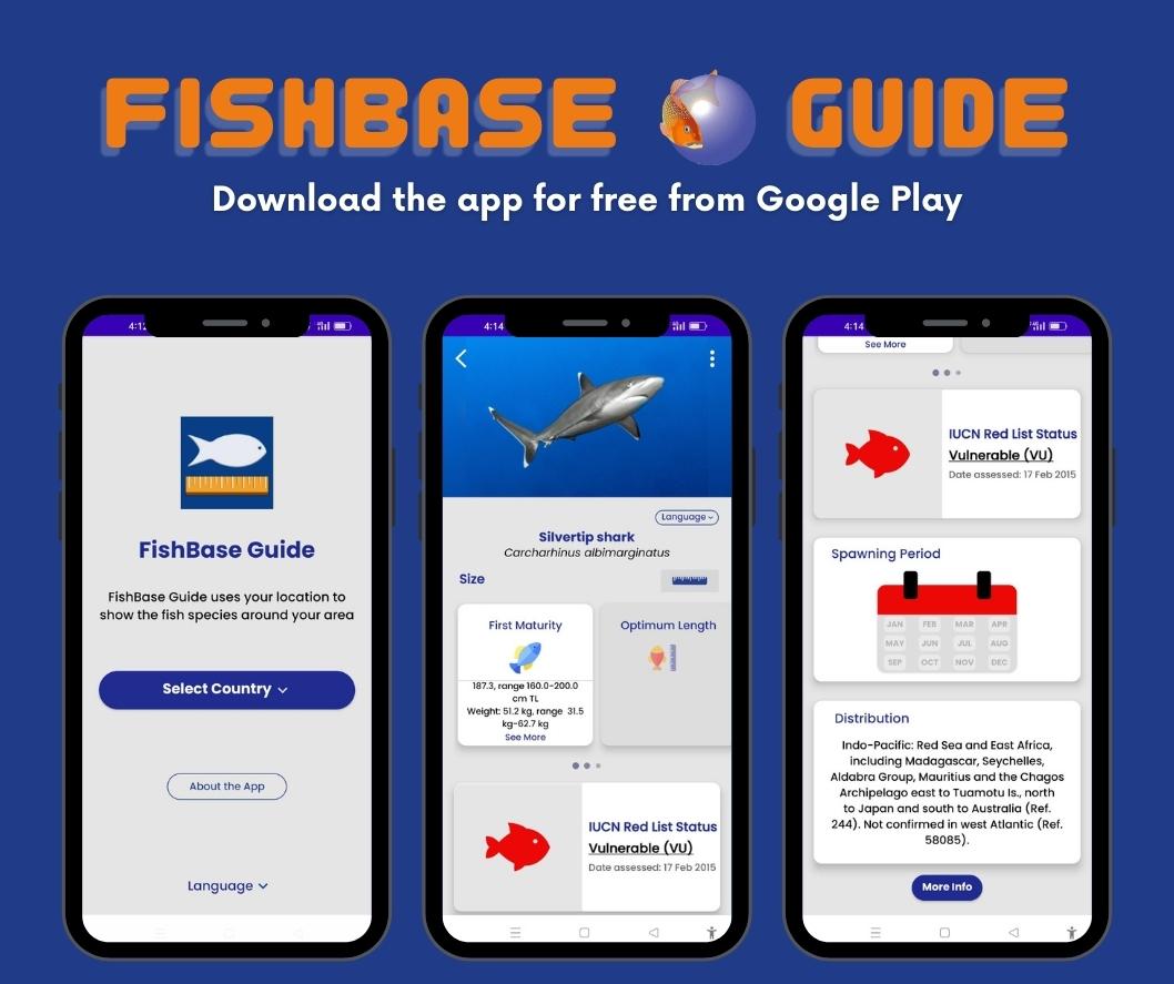 FishBaseProject's tweet image. 🐟 Dive into fish facts! Search by local fish name or scientific name to uncover information on species worldwide with the #FishBaseGuide app 🌍📲 bit.ly/FishBaseGuideGP. #FishBase #MarineLife #FishFacts #IUCNRedList #sustainablepractices