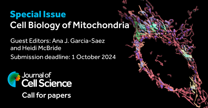 J_Cell_Sci's tweet photo. 📢Call for papers

Submit your paper for our upcoming special issue: Cell Biology of Mitochondria.

Guest Editors: Ana J. Garcia-Saez @GarciaSaez_Lab and Heidi McBride @mitodynamics
#JCSMitochondriaSI

https://t.co/PPak5Pjkhk