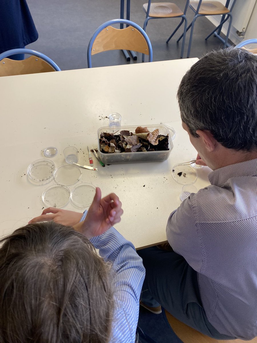 CStsauvant's tweet photo. @ienp5
#labelE3D
Notre école a reçu le label E3D pour le travail d’éducation au développement durable , avec notamment @LPO, @viennenature, @Abeilocal ce mercredi 29 mai à l’université de Poitiers https://t.co/0RNrwwYbCG