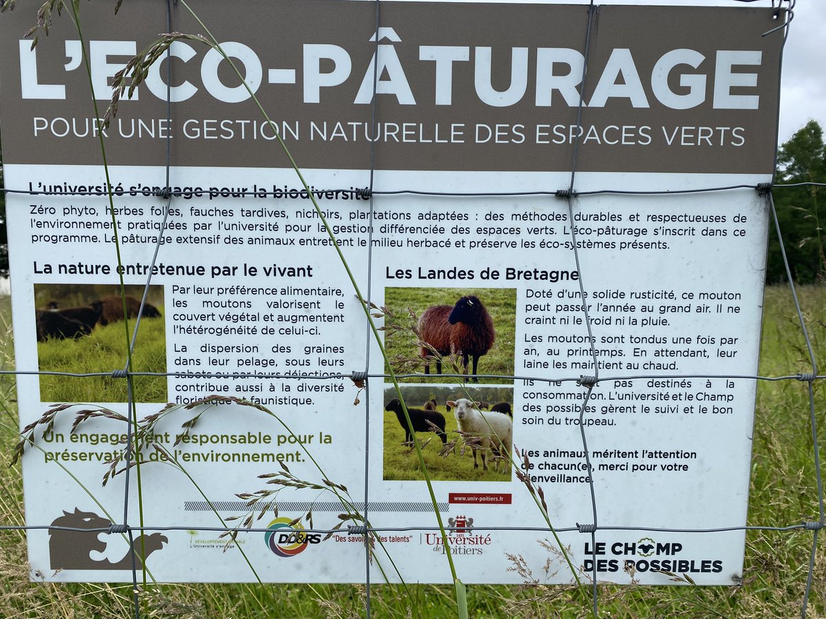 CStsauvant's tweet photo. @ienp5
#labelE3D
Notre école a reçu le label E3D pour le travail d’éducation au développement durable , avec notamment @LPO, @viennenature, @Abeilocal ce mercredi 29 mai à l’université de Poitiers https://t.co/0RNrwwYbCG