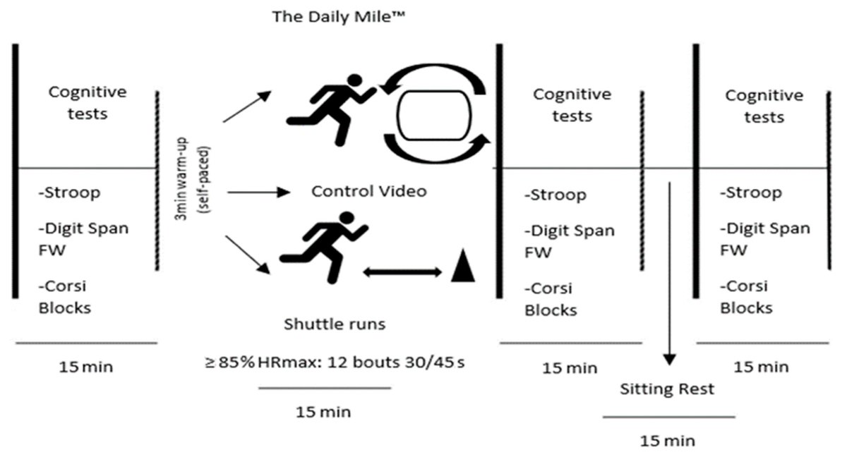 Sports_MDPI's tweet image. &quot;Explore the benefits of physical activity on children&apos;s cognitive and emotional well-being with #TheDailyMile vs. shuttle runs. Find out more in this enlightening study! #PhysicalActivity #CognitiveFunction  #AffectiveResponses&quot;

mdpi.com/1845158 via @Sports_MDPI