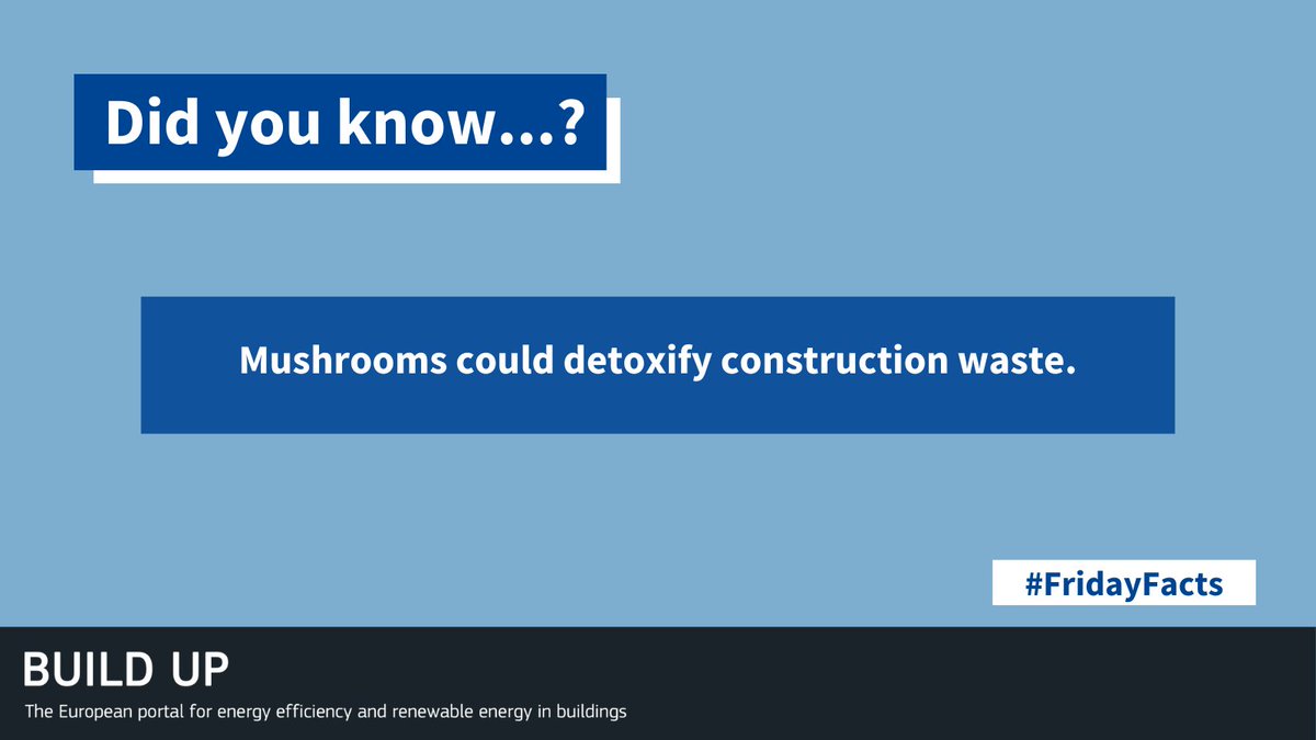 EU_BUILDUP's tweet image. 🍄@mycocycle has developed a solution for #sustainable waste management: using specially trained mushrooms to consume #constructionwaste.

Their patent-pending process detoxifies materials, making them suitable for reuse in #insulation and #flooring😯

👉build-up.ec.europa.eu/en/news-and-ev…
