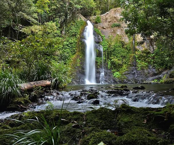 Real ecological concerns cannot coexist with the exploitative attitude to nature of globalism. If you see Australia as merely an economic zone, rather than the homeland of your people, you will never really care for it. A reason to end mass immigration.
#NationalistEcology