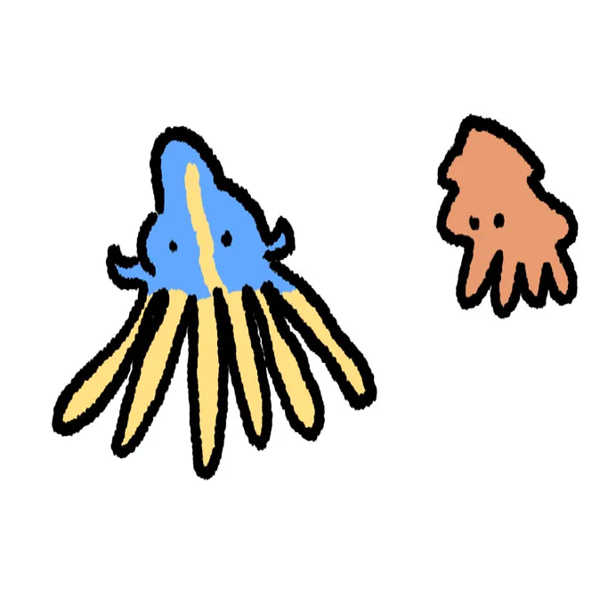 오징어