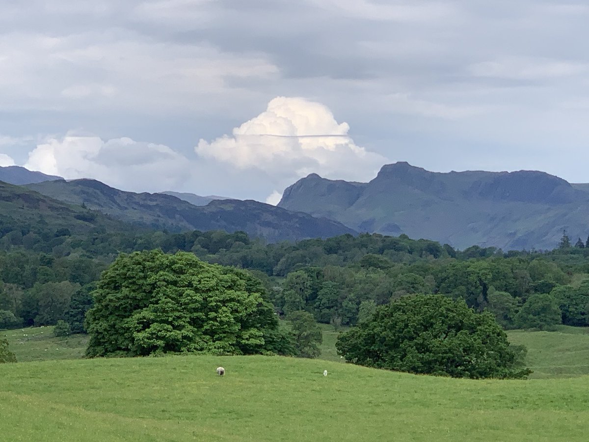 touringlakes1's tweet photo. Anyone know what this is?
Line through the cloud taken at Wray Castle. https://t.co/mPQjitYvBt