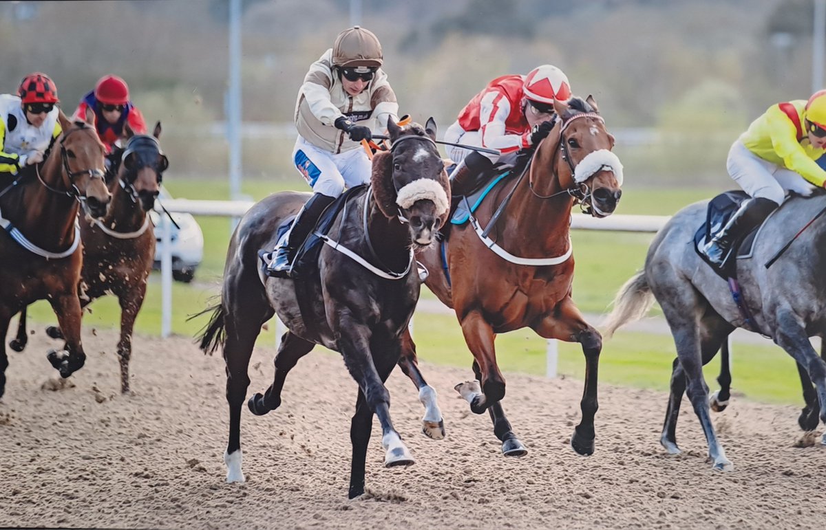 1 runner today with our @RuthCarr1 trained JOJO RABBIT going in the 7.55 @CatterickRaces & @connorbeasley9 takes the ride.

Good Luck To All Connections🤞🤞🤞🐎🐎🐎

#fingerscrossed @RSAsyndicates @GParkRacing #Racehorseownership #syndicates #horseracing #sports