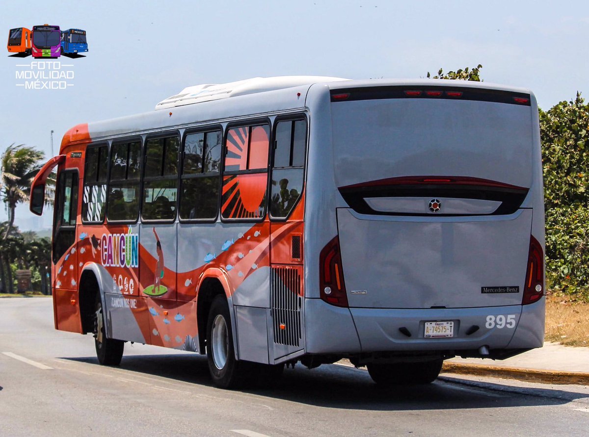 Hace unas semanas Cancún recibió 100 autobuses nuevos @MarcopoloMexico Torino en @MBenzBusesMx los cuales actualmente conectan diferentes puntos de la ciudad con la zona hotelera y próximamente el Tren Maya con el Aeropuerto de Cancún. 🚌