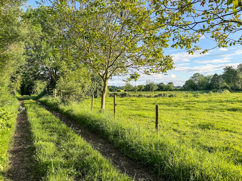 Wishing everyone a fantastic Friday and weekend 🫶💐