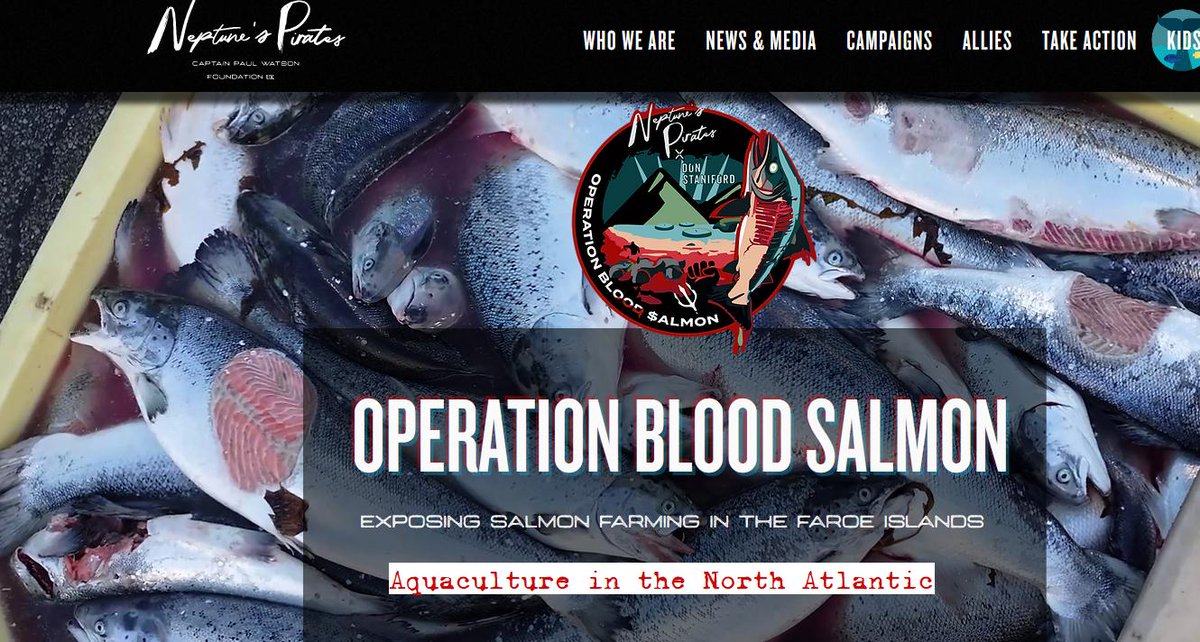 Please join the global boycott vs blood salmon! youtube.com/watch?v=2QEUZW…