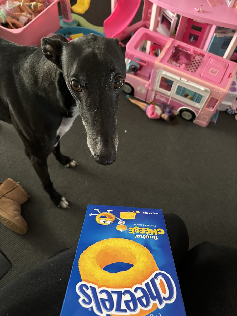 Liz Sheehan tweet media