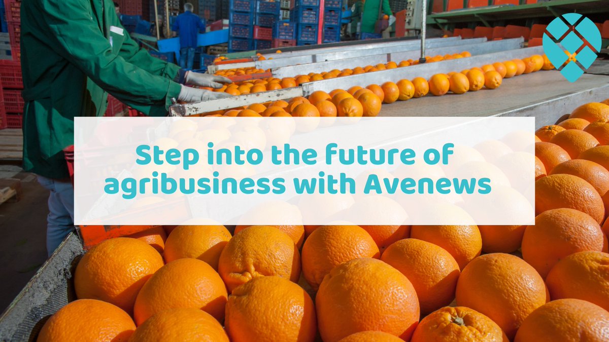 CommsMillo's tweet photo. Embracing innovative farming practices and leveraging advanced technologies, Kenya's agribusiness sector has experienced a profound evolution. Avenews is dedicated to contributing to this crucial growth. Step into the future of agribusiness with Avenews. 🌱
#millocommunications https://t.co/rJZgrTrUwT