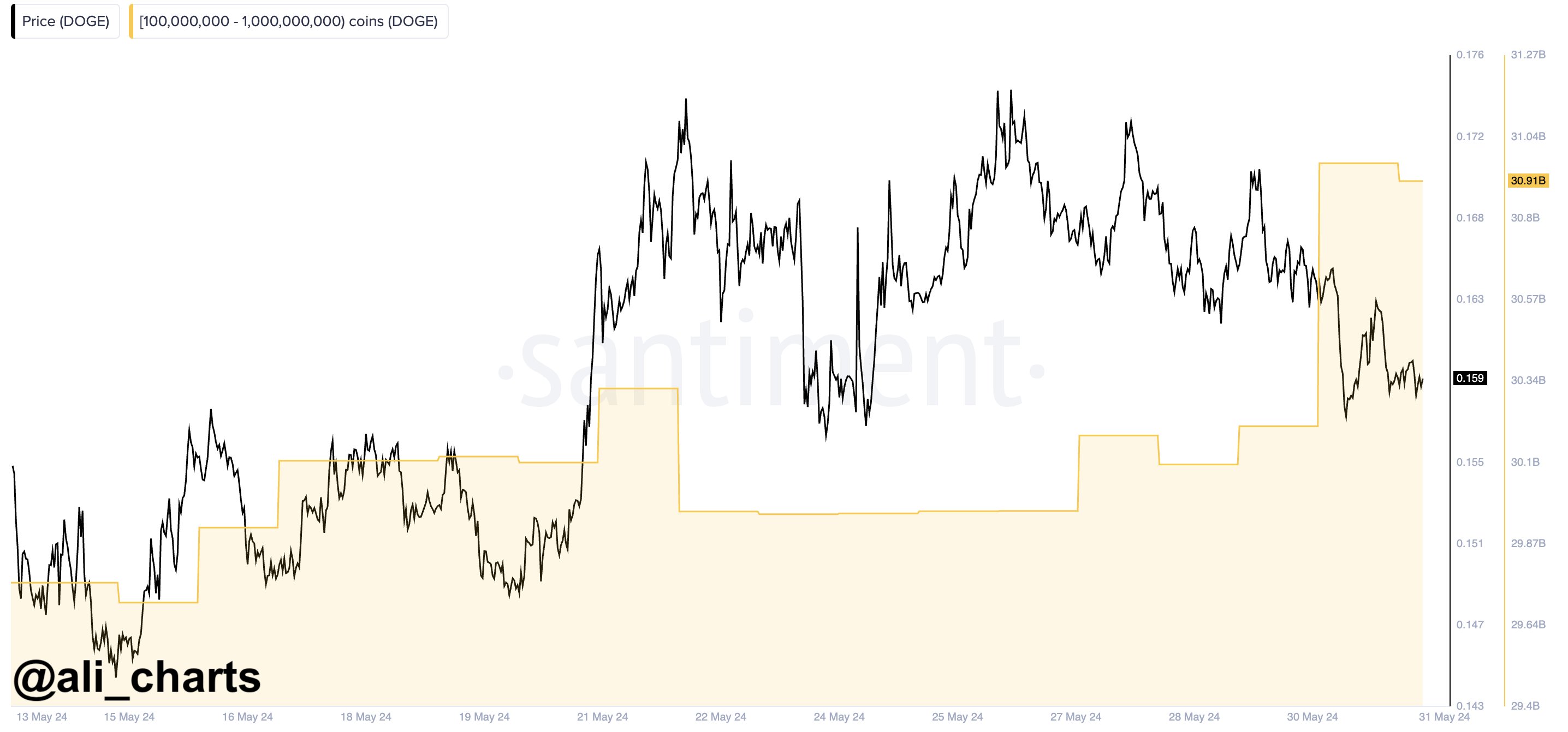  whales dogecoin amount on-chain doge interest analyst 