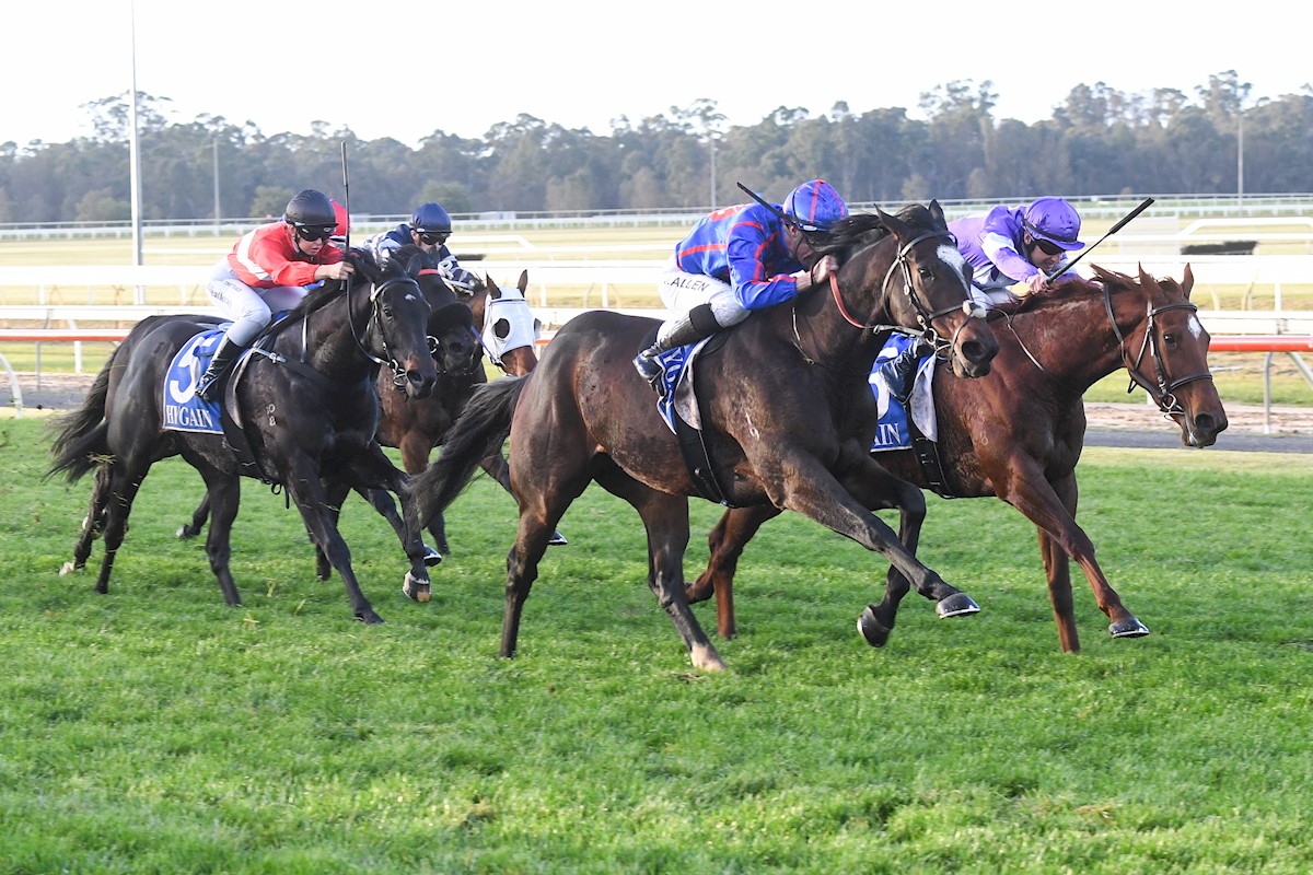 RolltheDiceRace's tweet photo. Terrific win by Rhapsody Chic today & never in doubt π@JohnnyA_24 Great job by the whole @FreedmanRacing team & @brentzerafa & @ricmacracing π
have built a bank for the weekend! Congrats to our owners & lets hope this bloke strings a few together now! π²ππ¬οΈ#StartRolling #RTD https://t.co/98qZpei2id