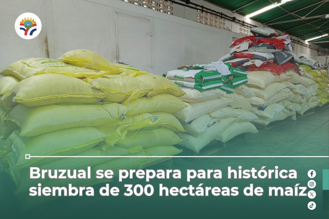 El alcalde Carlos González entregó insumos y semillas a 52 productores del eje maicero del municipio Bruzual, en un acto celebrado en las instalaciones del centro de abastecimiento ubicado en la avenida industrial de la localidad.

instagram.com/p/C7hN1OtxECK/…