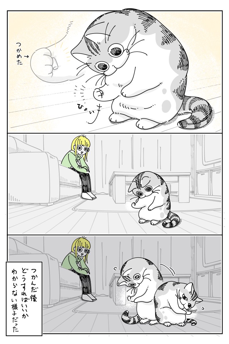 つかみたいらしいネコ
nekonavi.jp/catblog/archiv…