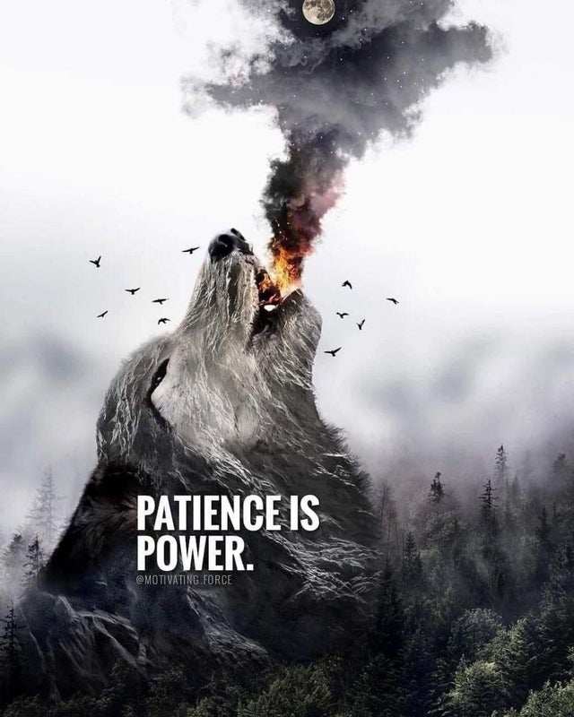 #saitachain #stc do you have the patience? Then if you do, you have the power! 💪🐺💪🔥❤️ #cryptocurrency