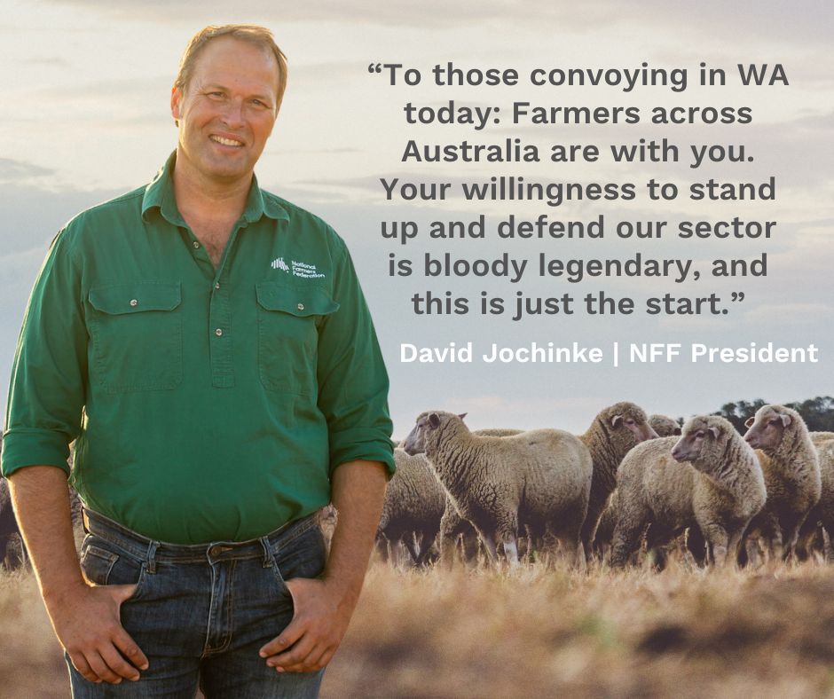 To the thousands of WA farmers who've taken to the streets of Perth today and to the thousands more who will be impacted by this ban, we stand with you. 
#keepthesheep
nff.org.au/media-release/…