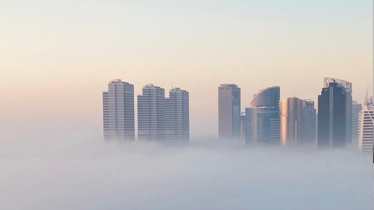 UAE weather: Red alert issued as foggy conditions continue; temperatures to rise today dlvr.it/T7dP6C