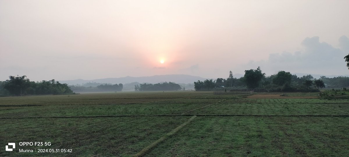 mahbubnewazM's tweet photo. All of these photos captured from New Chakboita Para - Amtoli Road (Graveyard Area)

2024, May 31 | FRIDAY | Sunrise moment
 #21centurymoments #munna161619 #CPH2527 #ancientpalong #bornandraisedinSabrang
#PC4750 https://t.co/au8ob1OBeS