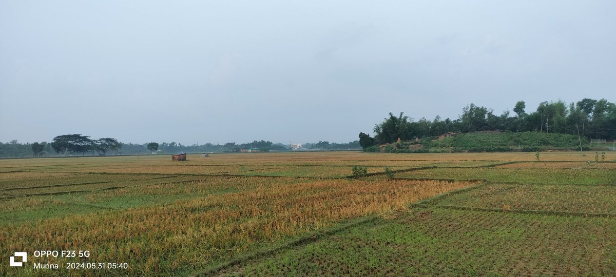 mahbubnewazM's tweet photo. All of these photos captured from New Chakboita Para - Amtoli Road (Graveyard Area)

2024, May 31 | FRIDAY | Sunrise moment
 #21centurymoments #munna161619 #CPH2527 #ancientpalong #bornandraisedinSabrang
#PC4750 https://t.co/au8ob1OBeS