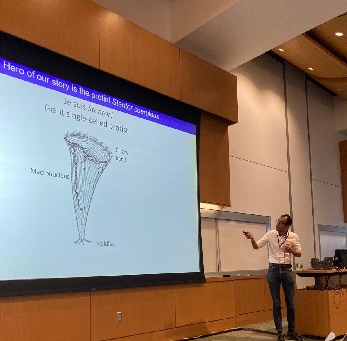 Shekhar lab (@sshekhr) on Twitter photo Very excited to have been at <a href="/VanderbiltU/">Vanderbilt University</a> for the Vanderbilt-Warwick Mechanobiology symposium! <a href="/TheVCoM/">Vanderbilt Center on Mechanobiology</a> <a href="/Warwick_CMCB/">mechanochemistry</a> Very excited to have been at <a href="/VanderbiltU/">Vanderbilt University</a> for the Vanderbilt-Warwick Mechanobiology symposium! <a href="/TheVCoM/">Vanderbilt Center on Mechanobiology</a> <a href="/Warwick_CMCB/">mechanochemistry</a>