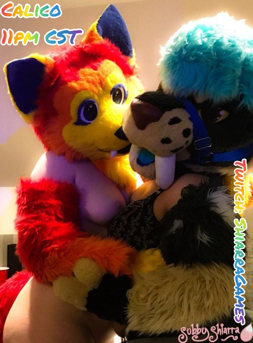 Come watch the kitty-cat take care of kitty-cats 😽  Ad featuring the beautiful and wonderful @bigtittytusky Gotta