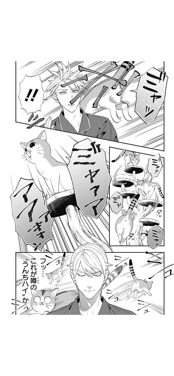 【新連載】『宮王太郎が猫を飼うなんて』第1話、配信開始!
https://t.co/7hs6IBH35n
『歯医者さん、あタってます!』の山崎将が描く猫とこじらせ男の日常コメディ!
ぜひ、お読み頂ければ🐾🐈