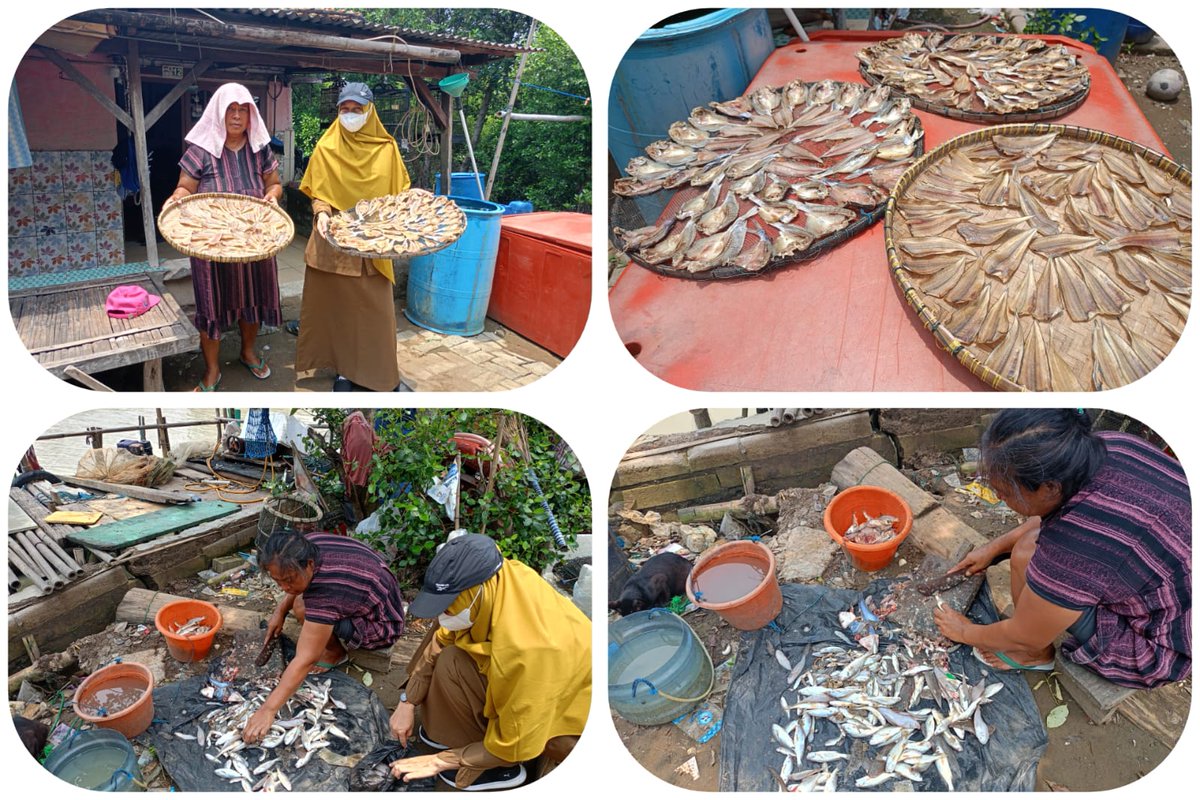 Senin, 13/05/2024, Damayanti PPB Kab. Bekasi melakukan kunjungan usaha ke pengolah ikan asin di Desa Pantai Sederhana #Luhkan #Luhlapor #Giatluhkan #SatminkalBogor @brpbatpp_bogor