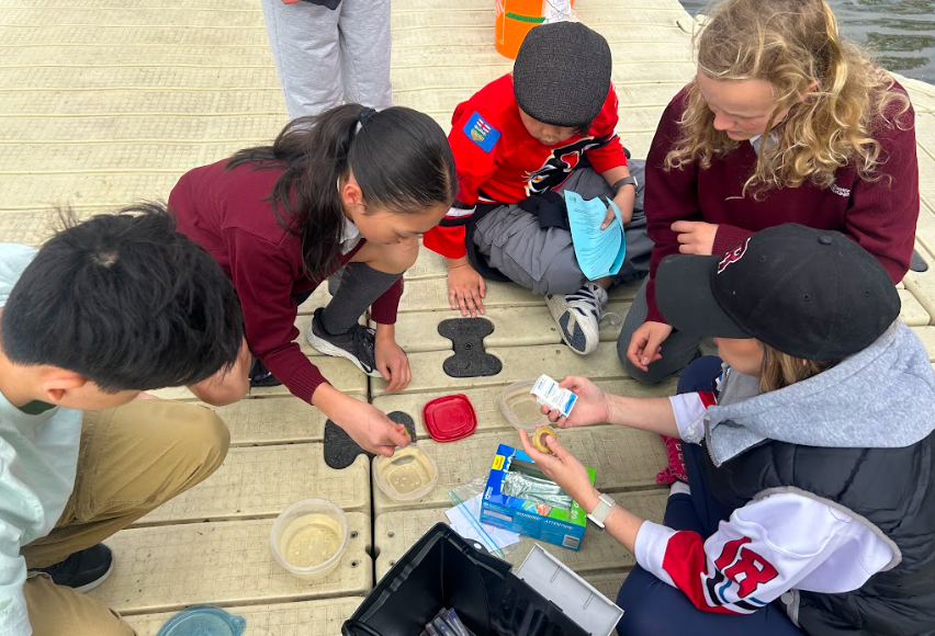 Another successful rainbow trout release! Rundle students did an excellent job checking the water quality and sending the fish off to thrive in their new ecosystem 🐡
#becurious
<a href="/RundleJrHigh/">Rundle College Jr. High</a> 
<a href="/BowHabitat/">Bow Habitat Station</a> 
#FinSProgram