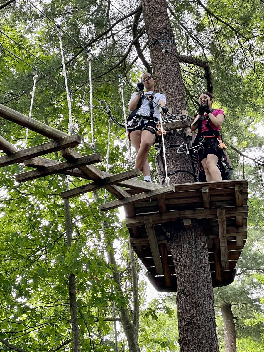 Lauren Vecoli tweet media