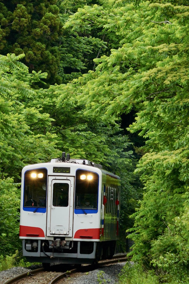 風に葉っぱの香りが乗る

#三陸鉄道　#三陸鉄道リアス線　#三鉄　 #さんてつ　#岩手　#岩手県
#japan  #iwate  #sanriku  #sanrikurailway  #railway