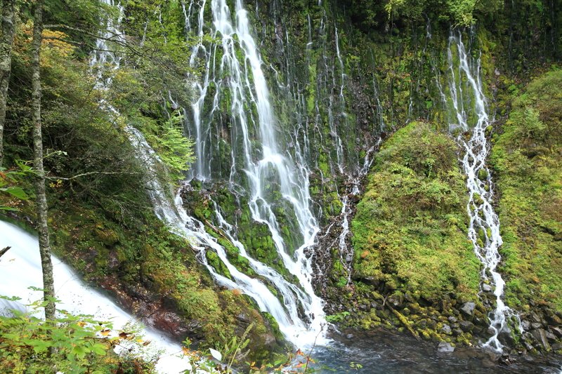 ＼手つかずの秘境を体験！／ 岐阜県 #高山市 の乗鞍山麓に広がる #五色ヶ原の森 が、2024年10月31日までオープン🌿 大自然を楽しめる6つのコース🌲乗鞍岳や千光寺、飛騨大鍾乳洞など、魅力的なスポットも✨入山はガイド同伴と事前予約が必要🍂 詳しくはこちら📝 trip.iko-yo.net/articles/2444?…