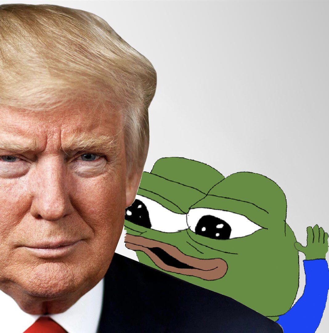 Pepe has orange frens back