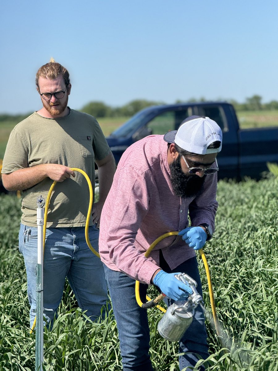 PawarTapish's tweet photo. Just wrapped up field inoculation of BLS on winter wheat with our amazing team! 🌾🔬 My first field trails in South Dakota! Excited to observe the symptoms in the coming week 🚜🌱 @plantpath_PD @Ahmadrao726 Joe Tilstra and Parth Patel.
@WheatInnovation @wheatsd https://t.co/T0auHzluJ8