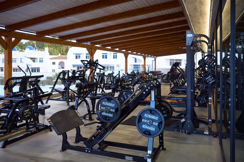 Hammer Strength tweet media