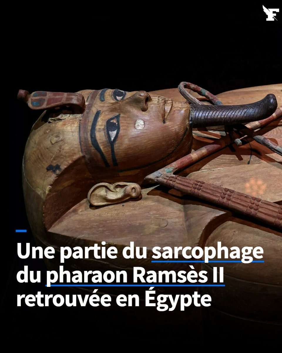 «C’est une très belle découverte.»
→ l.lefigaro.fr/Fbn