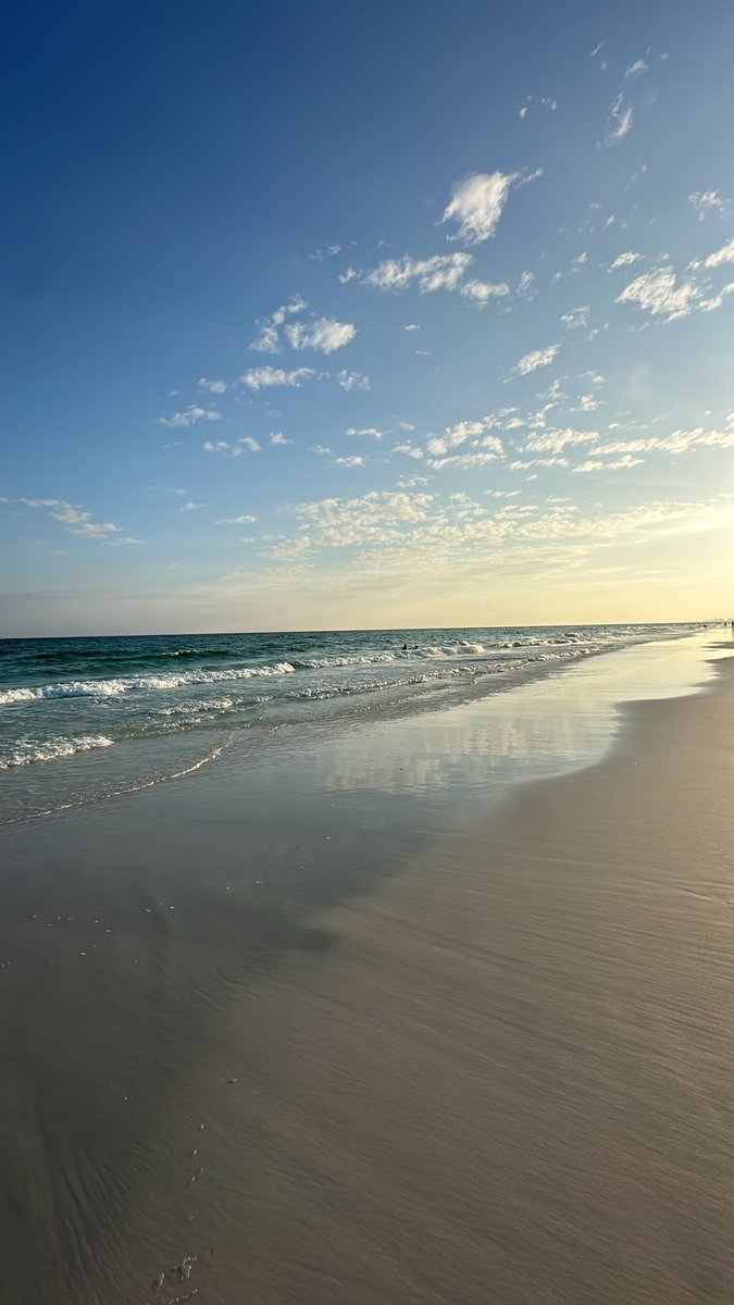 plutocvs's tweet photo. 🏖️ https://t.co/mmOczQe3Rc