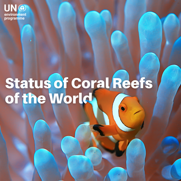 UNEP's tweet photo. Healthy corals are lifelines for many coastal communities, providing critical ecosystem services related to food, storm barriers, medicines, and livelihoods from tourism and fishing. 

For Saturday's #WorldReefDay, get the latest science here: https://t.co/rEoVlsXdp1 https://t.co/enZ0dJpGef