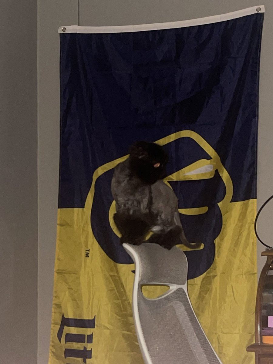 idk why dade is yalling me. Is it sedanly illegal for guyse to have. Midnight Top Of Office Chair Time©️™️®️