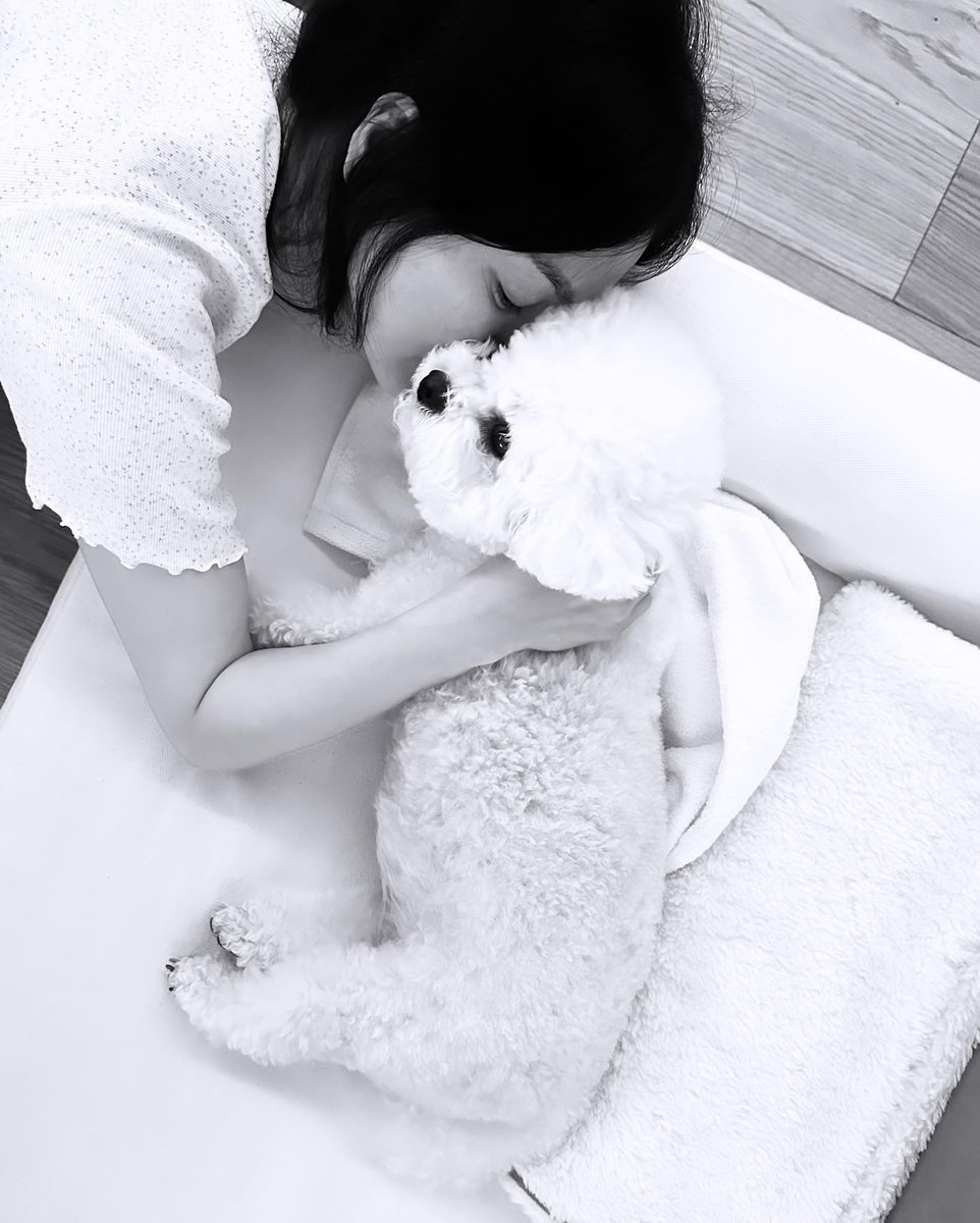 hyyekyo's tweet photo. all i need in this world is love and ruby. 🐶🤍 https://t.co/L87sjClIuP