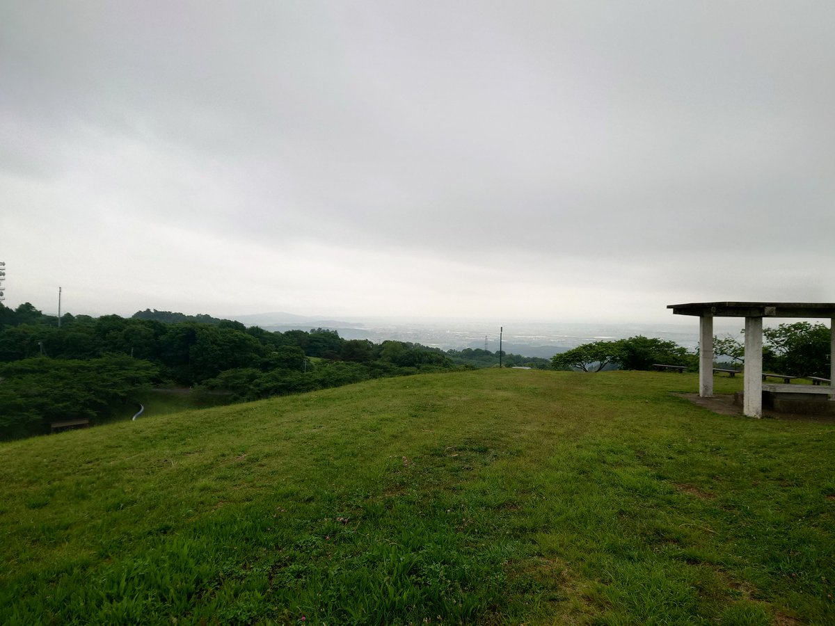 雨の中キャンプツーリングしていますよ。タープに野良猫が雨宿りしていました。男独りと一匹。