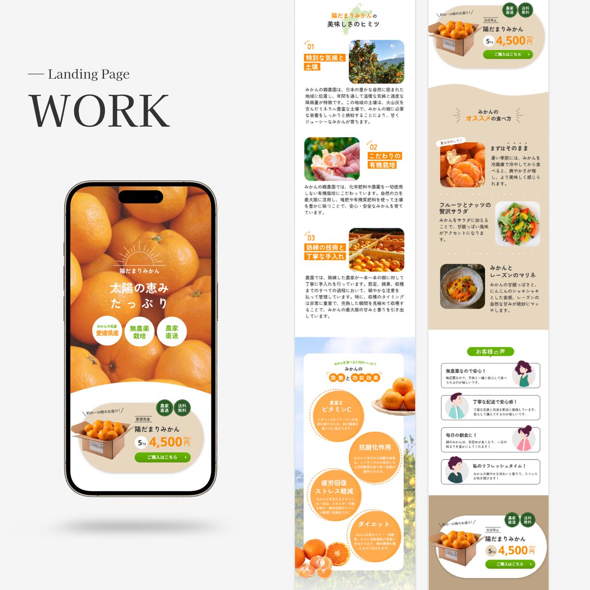 ペンギンデザイン🐧 | webデザイナー tweet media