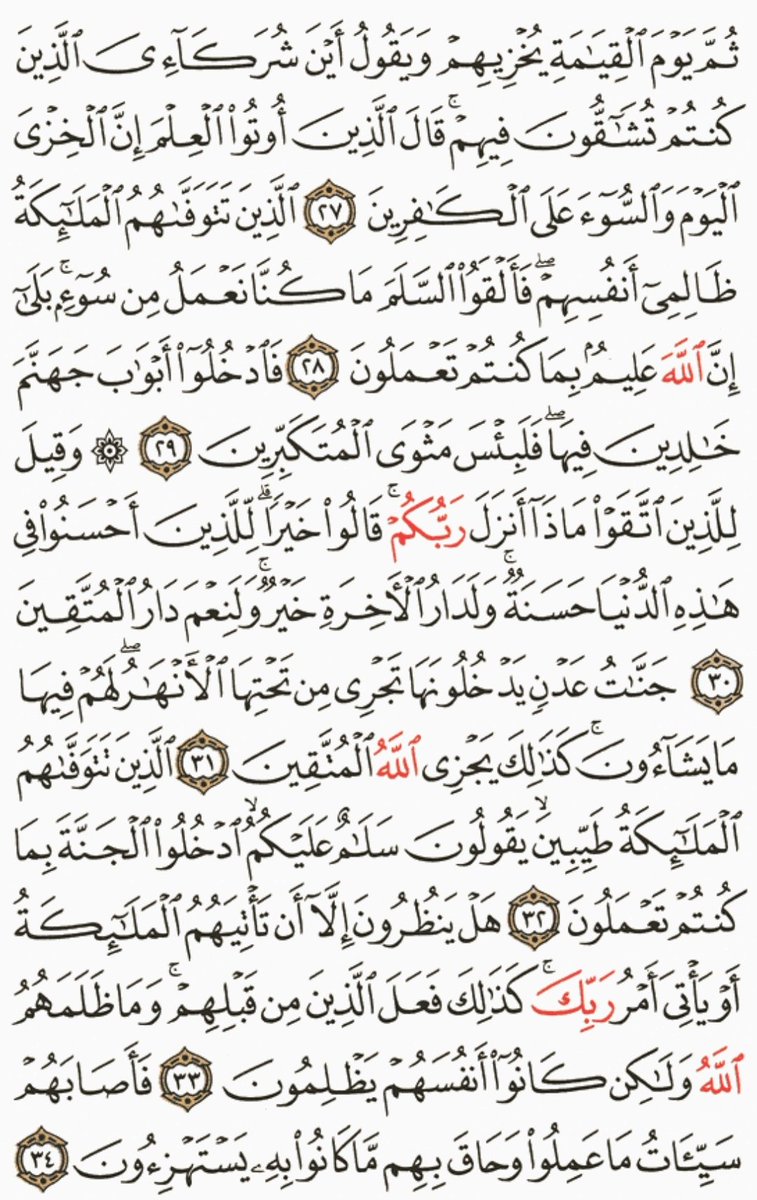 misbahu_jibril's tweet image. Recite and repost one page at here daily