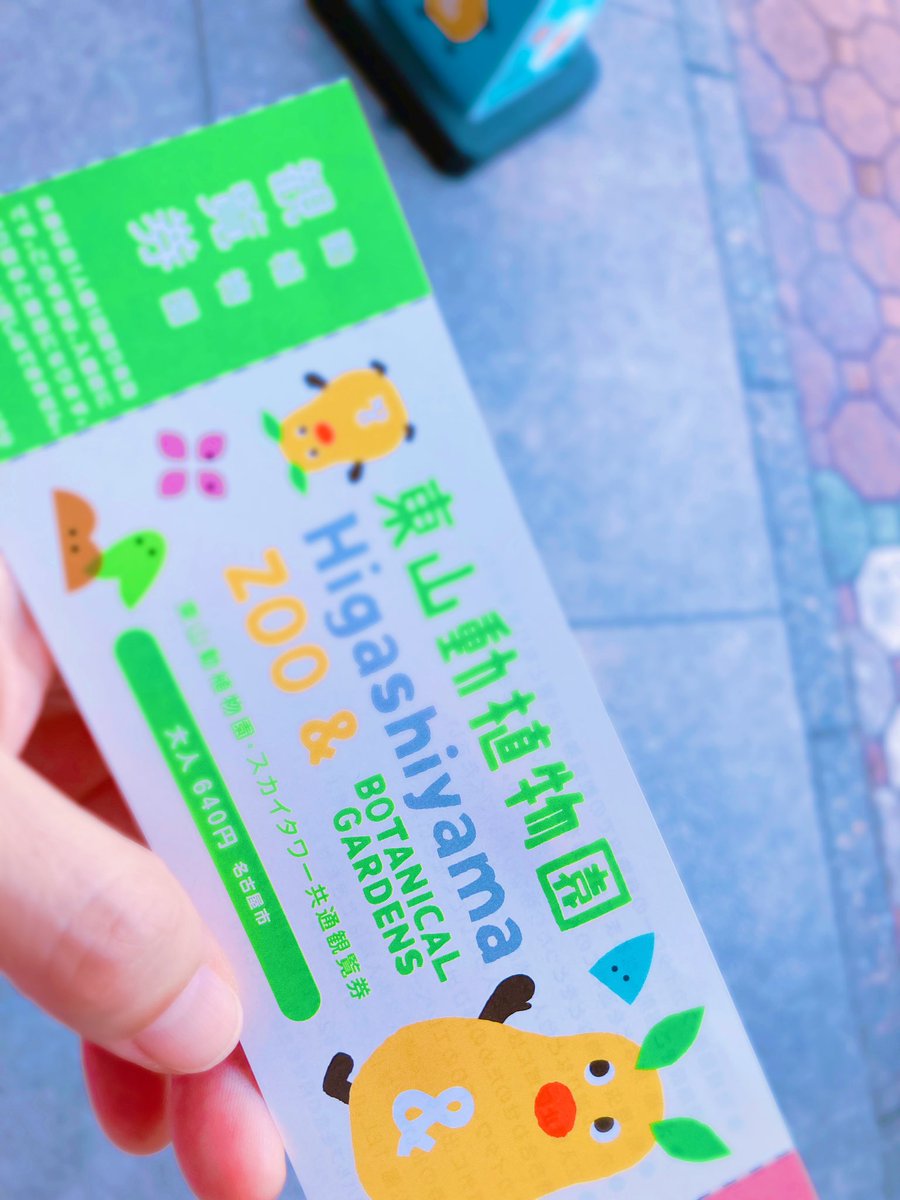 yuca1875699's tweet photo. #東山動物園　#コアラ https://t.co/E8xgAII4Ir