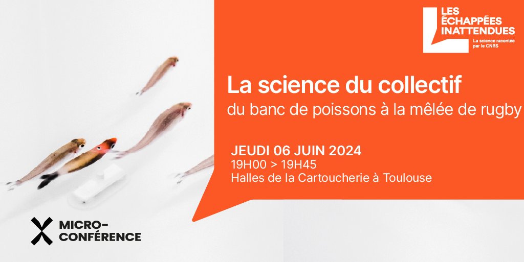 RDV #Science 🐠|  Une nouvelle échappée inattendue se tiendra le 6 juin aux Halles de la cartoucherie à Toulouse ! Venez découvrir comment trois scientifiques percent les mystères des déplacements collectifs chez les animaux.

occitanie-ouest.cnrs.fr/fr/evenement/l…