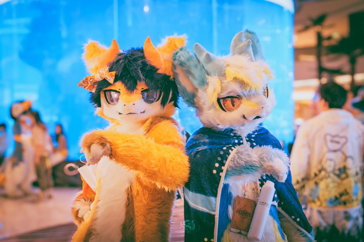 Catcatdragon tweet media