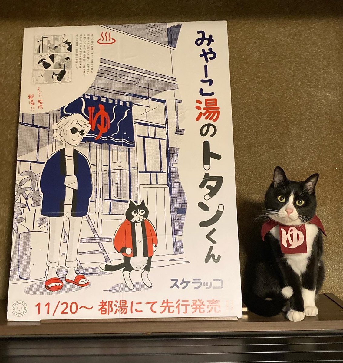定休日明け着火し準備中です🔥
5月も本日で最終日ですね！
本日よりトタンくんに関する記事など
昨日の新聞など含めまして浴室に
張り出しますので見て頂きたいです♨️
そしてトタンくんは今日から都湯に
戻って来まして居てます(分骨)🐈‍⬛✨