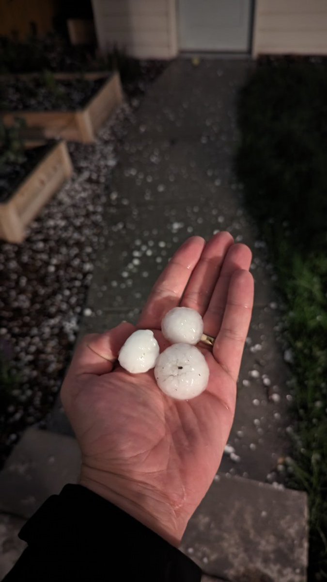 heystarbuck tweet media