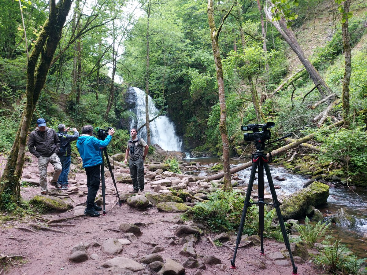 ¿Quiéres ser #PeriodistaAmbiental? #BecaCristinaYuste-@signusecovalor de #PeriodismoAmbiental en @EFEverde @EFEescuela efeverde.com/convocada-la-i…