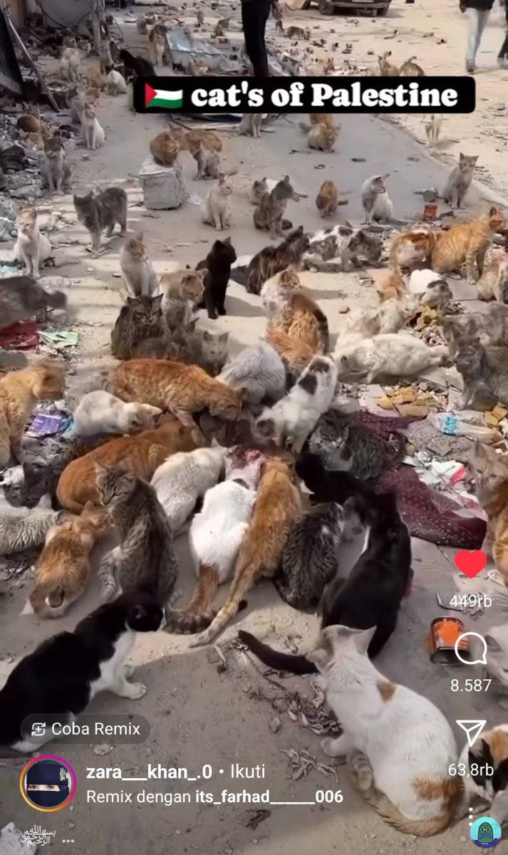 tanyakanrl's tweet image. 💚  sedih bgt liat ini 😭 semua jadi korban
ALL EYES ON RAFAH
ALL EYES ON RAFAH
ALL EYES ON RAFAH
ALL EYES ON RAFAH
ALL EYES ON RAFAH
ALL EYES ON RAFAH
ALL EYES ON RAFAH
ALL EYES ON RAFAH
ALL EYES ON RAFAH
ALL EYES ON RAFAH
ALL EYES ON RAFAH
ALL EYES ON RAFAH